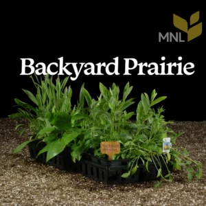 Backyard prairie plant mix